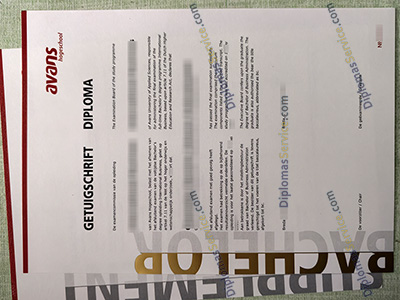 Avans Hogeschool degree