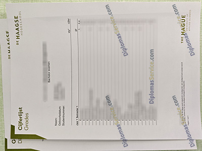 Haagse Hogeschool cijferlijst