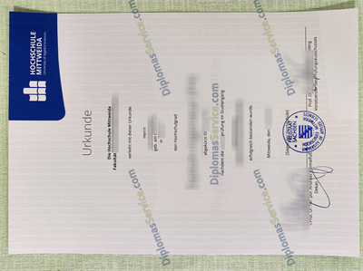 Hochschule Mittweida diploma