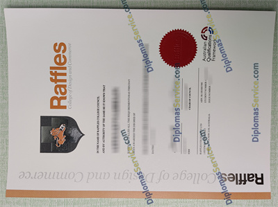 Raffles College degree