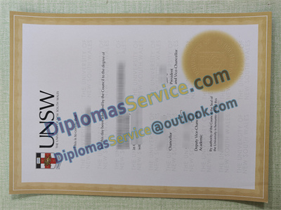 UNSW degree