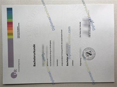 University of Regensburg degree