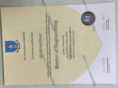 University of Sheffield certificate