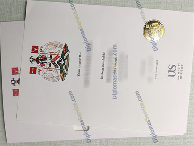 University of Sussex certificate