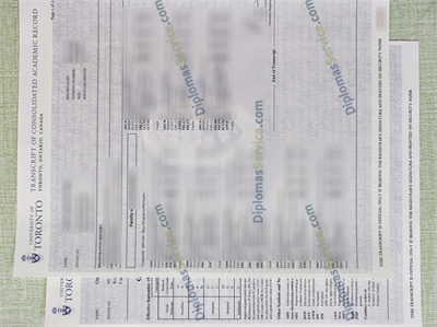 University of Toronto Transcript