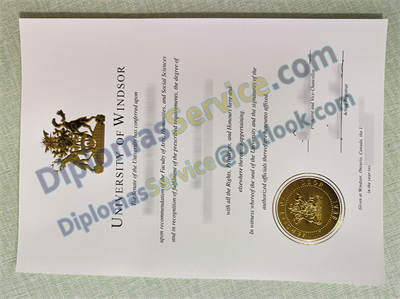 University of Windsor certificate