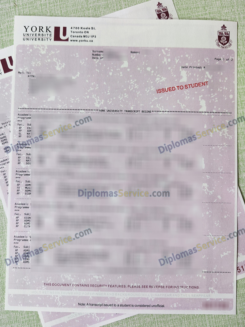 York University transcript