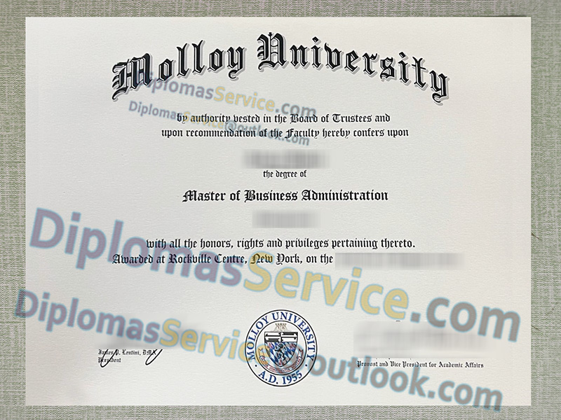 Molly University diploma, MBA degree,