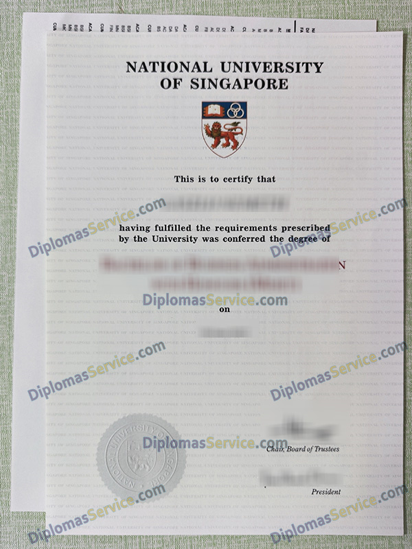 National University of Singapore degree, National University of Singapore diploma,