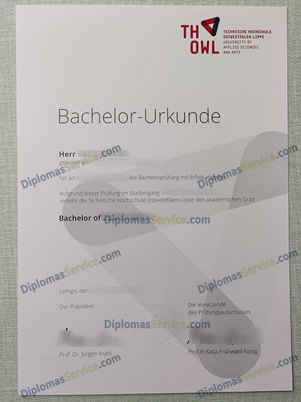TH OWL urkunde, Technische Hochschule Ostwestfalen-Lippe degree,