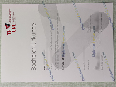 TH OWL diploma