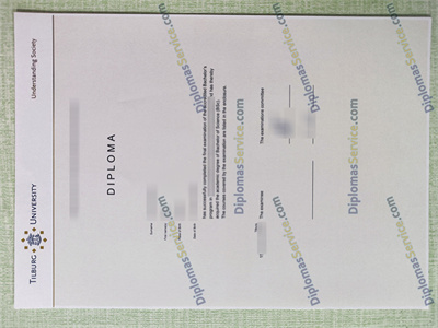Tilburg University diploma