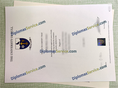 University of Hull diploma