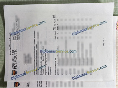 University of Plymouth transcript