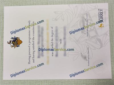University of Surrey diploma