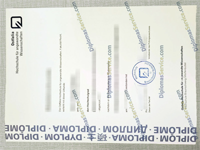 Ostfalia Hochschule diploma
