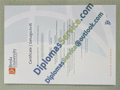 Breda University diploma