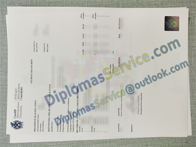 Cardiff Metropolitan University transcript