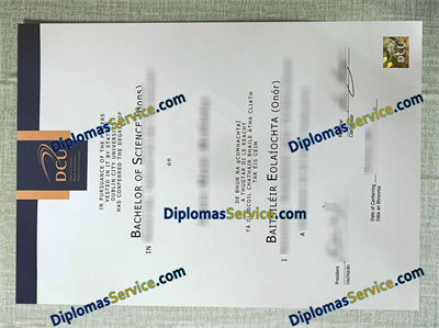 Dublin City University diploma