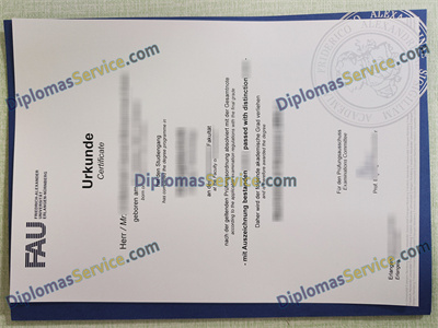 Friedrich-Alexander-Universität diploma