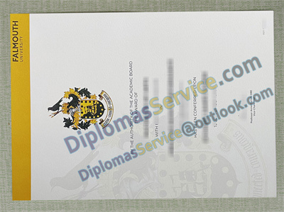 Falmouth University diploma