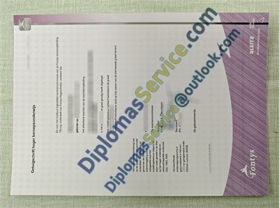 Fontys diploma