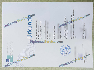 Hochschule Emden Leer diploma