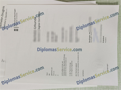 Hochschule Reutlingen diploma