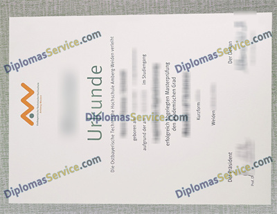 Ostbayerische Technische Hochschule Amberg-Weiden diploma