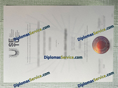 South East Technological University diploma