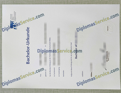 Technische Hochschule Wildau diploma