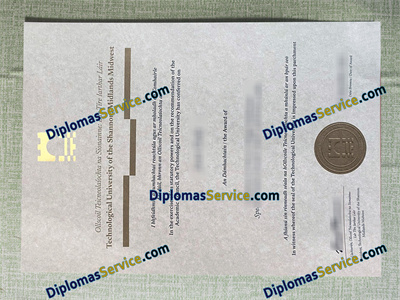 Technological University of the Shannon diploma