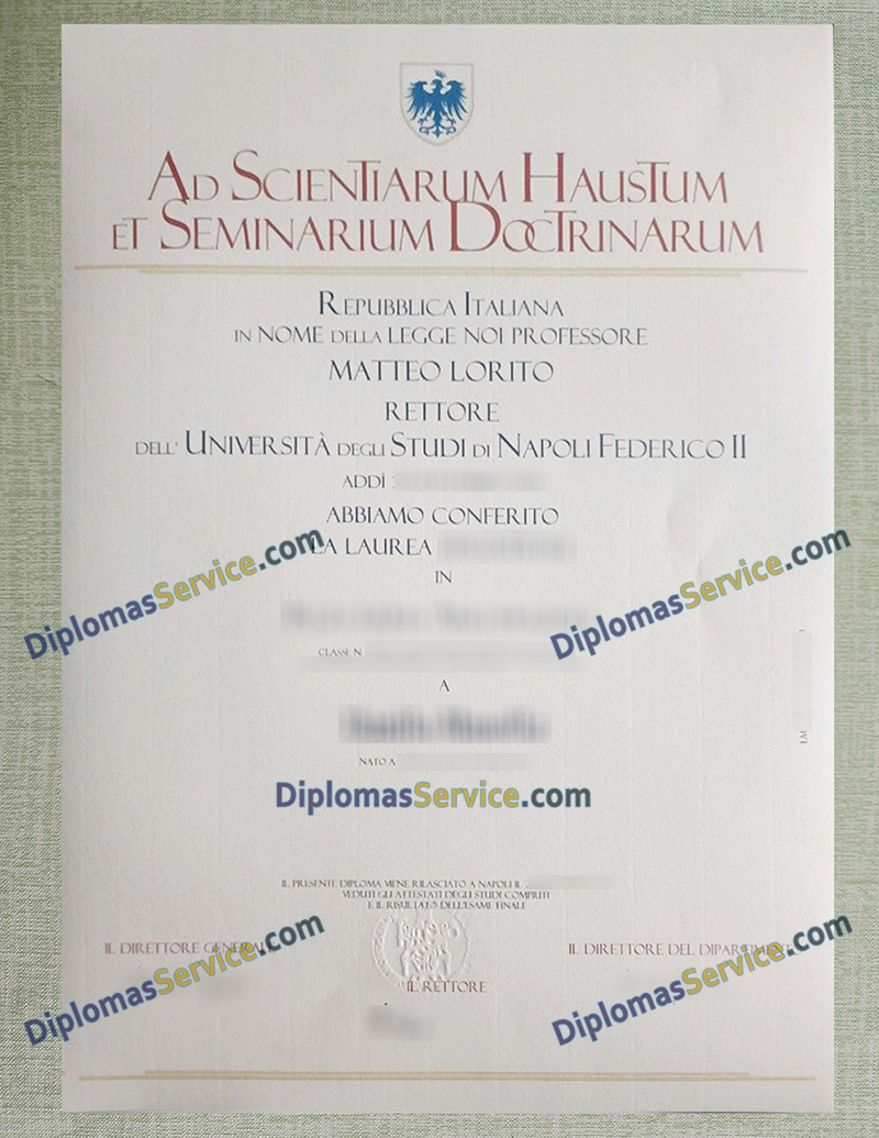 Università Napoli Federico II diploma, Università degli Studi di Napoli Federico II laurea,