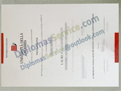 Università della Calabria degree