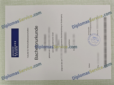 Universität Duisburg-Essen urkunde diploma