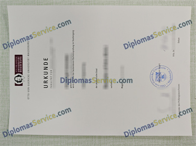 Universität Magdeburg diploma