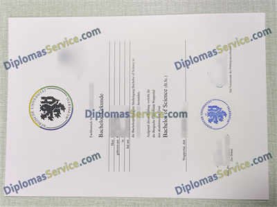 Universität Wuppertal diploma