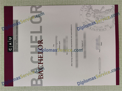Universität zu Kiel diploma