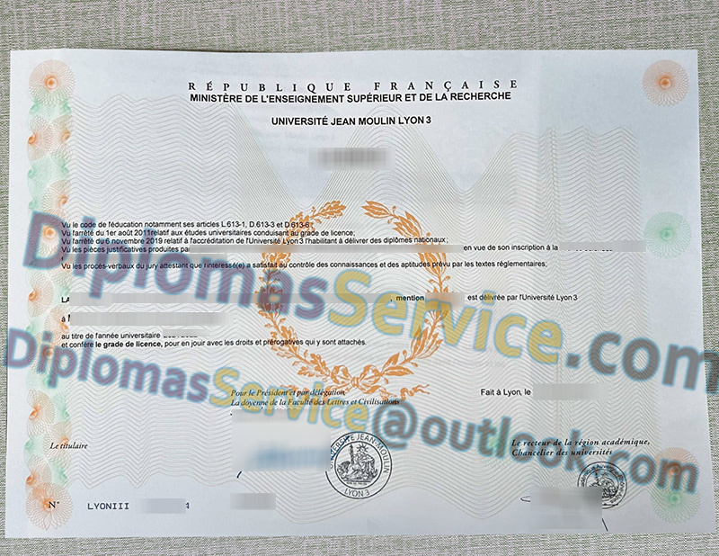 Université Jean Moulin Lyon 3 diplôme, Université Jean Moulin Lyon 3 licence,