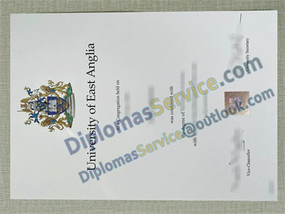 University of East Anglia diploma