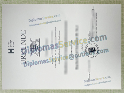 Hochschule Offenburg diploma
