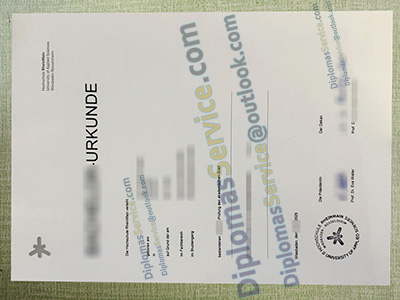 Hochschule RheinMain diploma