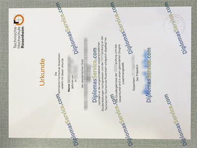 TH Rosenheim urkunde