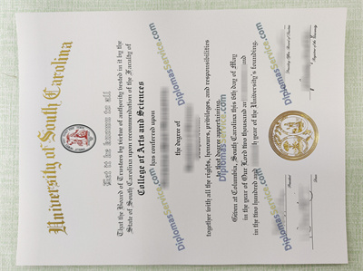 University of South Carolina certificate
