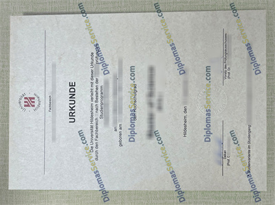 Universität Hildesheim diploma
