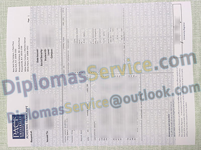 Pace University Transcript