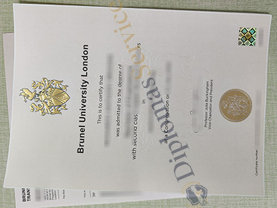 Brunel University London degree